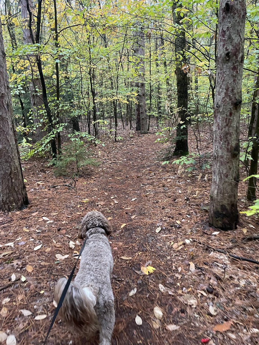 karrie_joy's tweet photo. ……because it’s not gonna get any warmer, Tucker and I took advantage of a break in the rain. @Smartwool socks for toasty warm feet and @baleafsports for the “magic one layer” jacket!
#keeppromisestoyourself #notawuss #muddytrailpup #warmhoodieday #chooseyou #choosehappy https://t.co/itcev4tAiZ