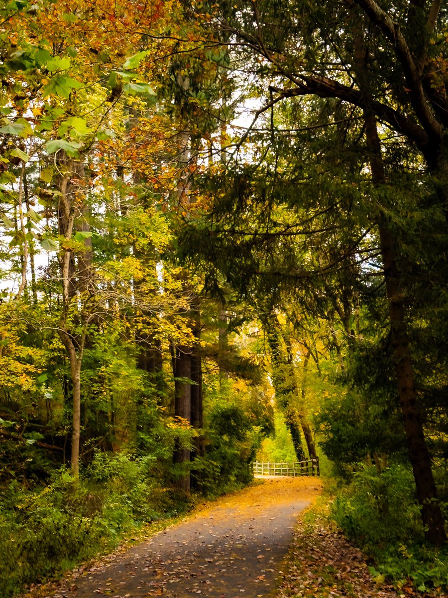 TechieTravel's tweet photo. There’s something about Autumn that tugs at my heart. https://t.co/L3hUU6UHqf