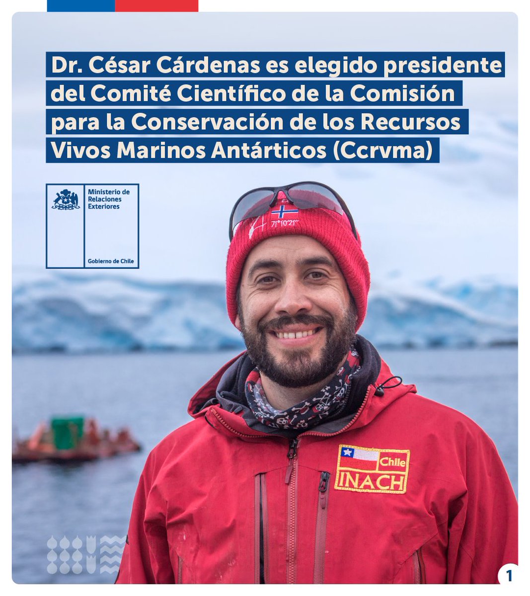 Minrel_Chile's tweet photo. El Dr. César Cárdenas fue electo presidente del Comité Científico de la Comisión para la Conservación de los Recursos Vivos Marinos Antárticos. 🐧❄️ El científico fue elegido de forma unánime para el período 2024-2025.  Conoce más 👇 https://t.co/0yHgnDfuaM