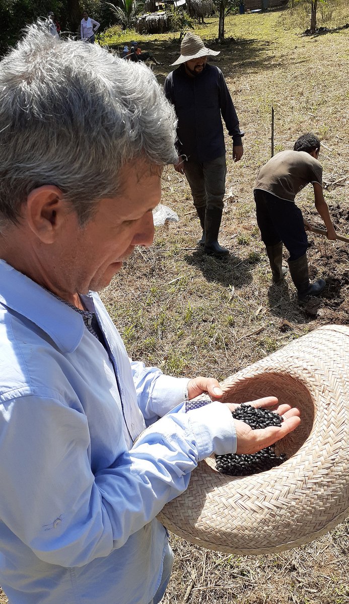 Mincyt_VE's tweet photo. #21Oct | ¡Alianza Científico-Campesina!🧑‍🌾👩‍🔬 

Científicos y agricultores fortalecen producción de caraotas negras en Cojedes   

Más información ➡️ https://t.co/bzbh5Hwk42 

#VenezuelaEsTradición #CienciaParaLaVida https://t.co/y7Ql1gfb85