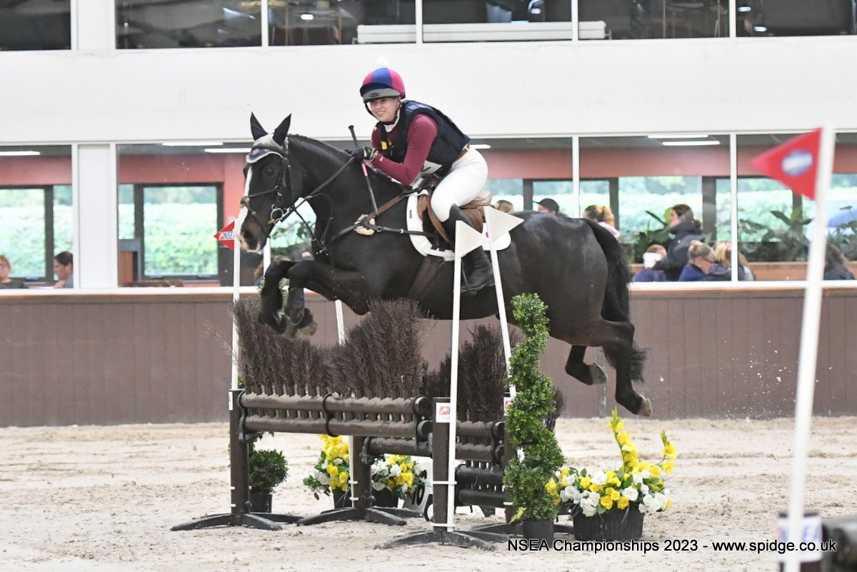 LilyBlythe4's tweet photo. Another super day for @ScarColl at the NSEA champs. 
So proud of Kestrel becoming reserved national champion in the 90cm JwS out of a huge field🥈
Imogen also finished in the top half of the field. 
There were good rounds in the 80cm sj too,especially from Tilly! 👏🏼@ScarColl_DOS https://t.co/PXVegI3CSW