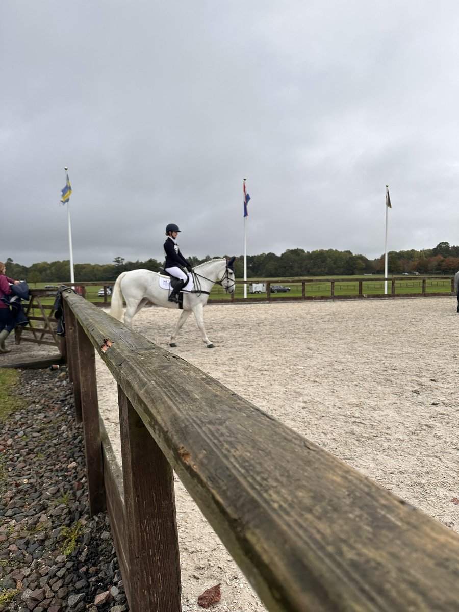 LilyBlythe4's tweet photo. Another super day for @ScarColl at the NSEA champs. 
So proud of Kestrel becoming reserved national champion in the 90cm JwS out of a huge field🥈
Imogen also finished in the top half of the field. 
There were good rounds in the 80cm sj too,especially from Tilly! 👏🏼@ScarColl_DOS https://t.co/PXVegI3CSW