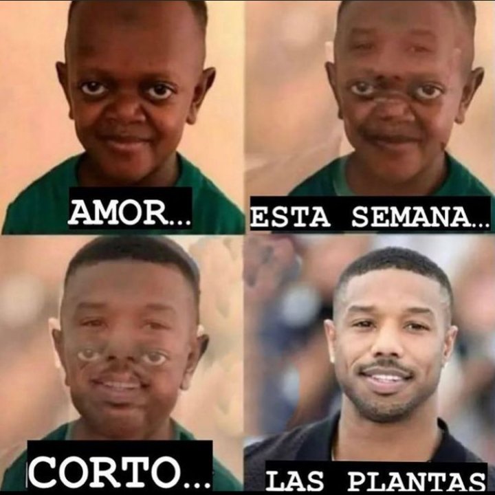 El Paragua Venenoso (@elparaguayo1231) on Twitter photo 
