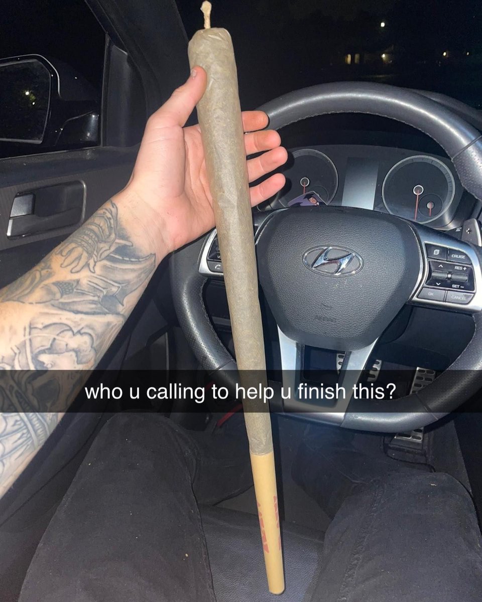 GeniusPothead 💹🧲 tweet media