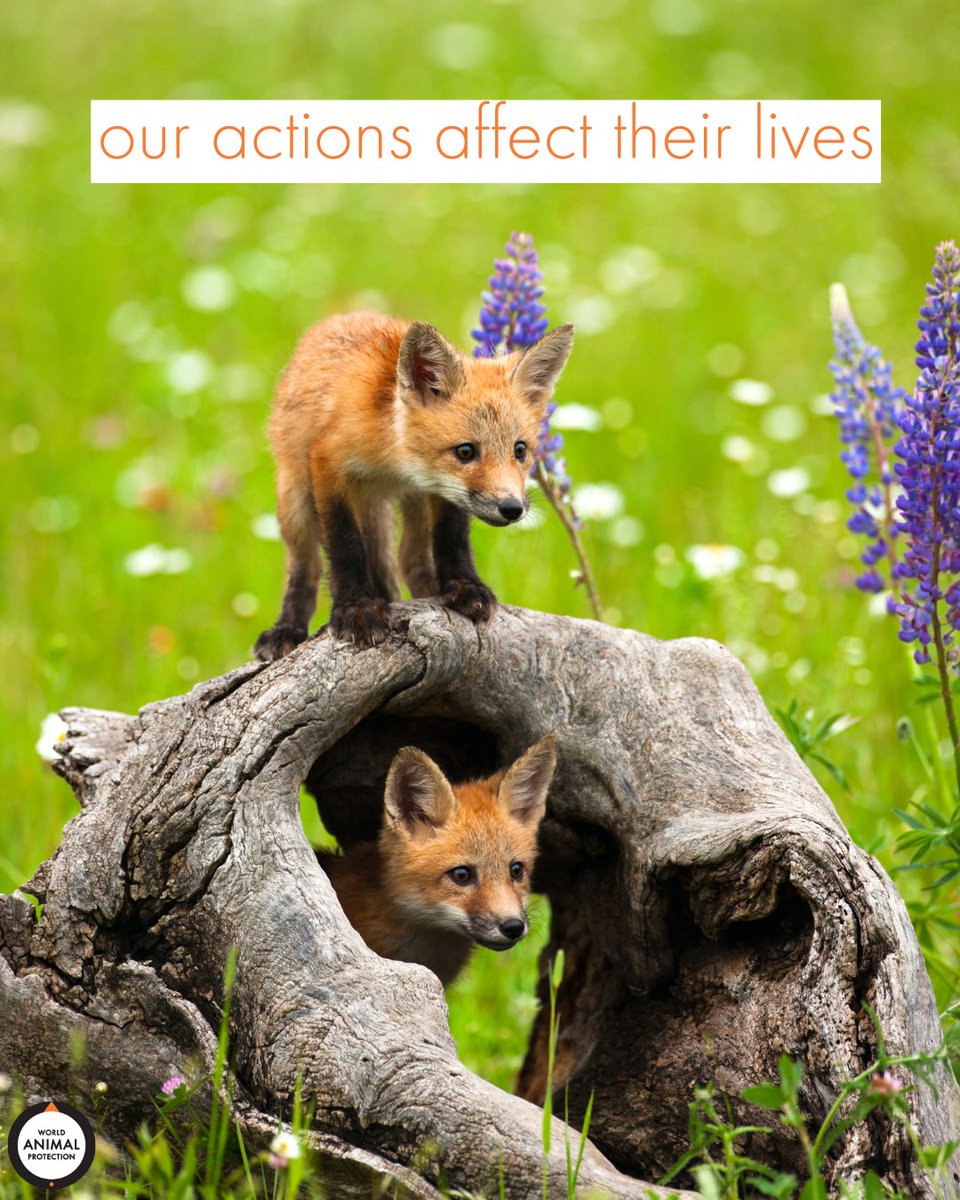 MoveTheWorldUS tweet picture
