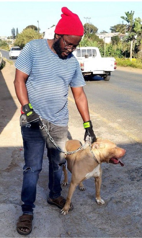 sewelankoana's tweet photo. When the whole country was fuming about pit bulls killing children Vusi Khoza unashamedly posted this pic and declared his support for pit bulls.I called him out for not setting a good example as EFF leader he responded arrogantly and blocked me.sies who blocks babes we EFF.mxm https://t.co/tE7ejKj3qK