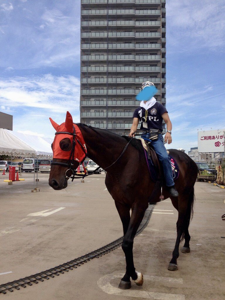 umalove20205's tweet photo. (๑ت๑)ノ"٥hayoϋ♡
今朝は冷え込んでるが厚着してるので汗かいてるw
ビーム🐴特集中‼️『イベントで有名騎手と✨ 』
#馬 #馬好き #馬好きさんと繋がりたい #雑学 #馬雑学 #horse #lovehorse #写真 #動物 #photo #photograph #引退馬 #キリトリセカイ #騸馬 #黒鹿毛 #darkbay #サラブレッド #元競走馬 https://t.co/qkUZgb7fdy