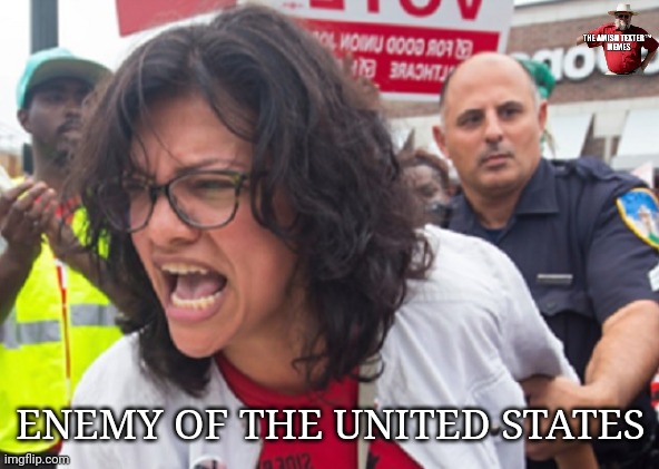 65% of Americans believe Rashida Tlaib is an enemy of this country, are you one of the 65%