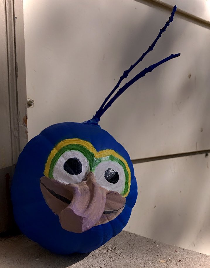 Turned a pumpkin into a whatever 💙🎃