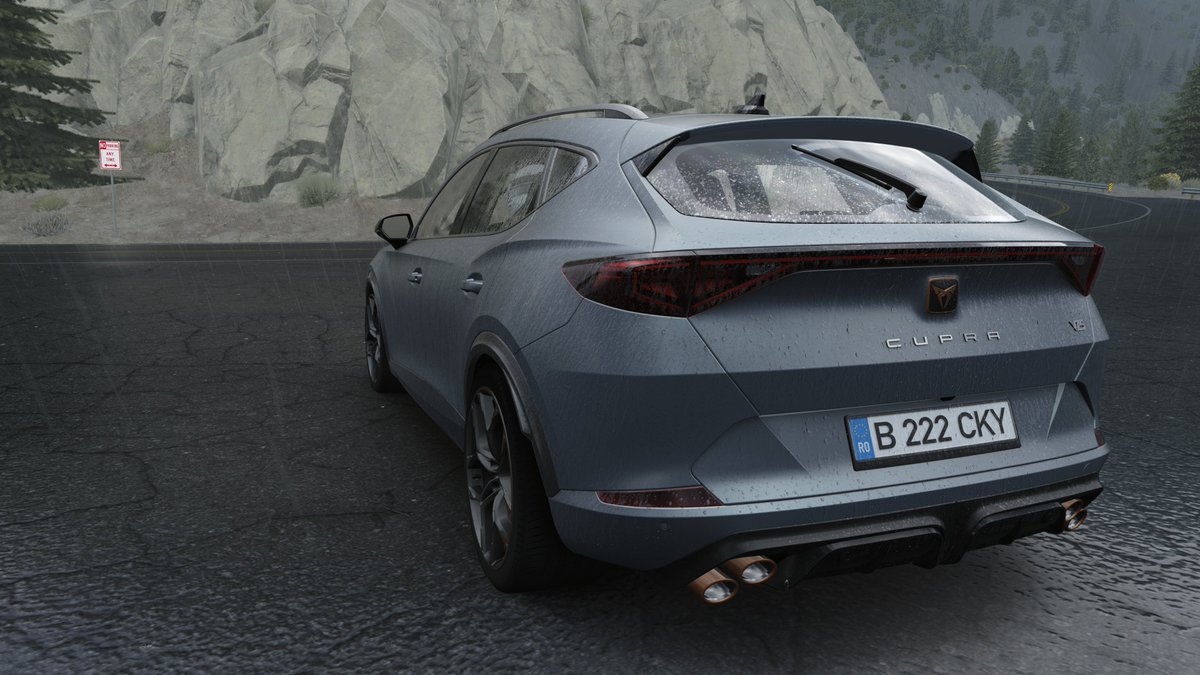 Cupra Formentor VZ5 #assettocorsa #VirtualPhotography #simracing