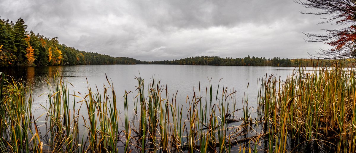 newenglandtake's tweet image. A wet, but pretty fall walk in the woods. @OMSYSTEMcameras #fall #visitmaine #exploremaine #naturephotography #landscapephotography