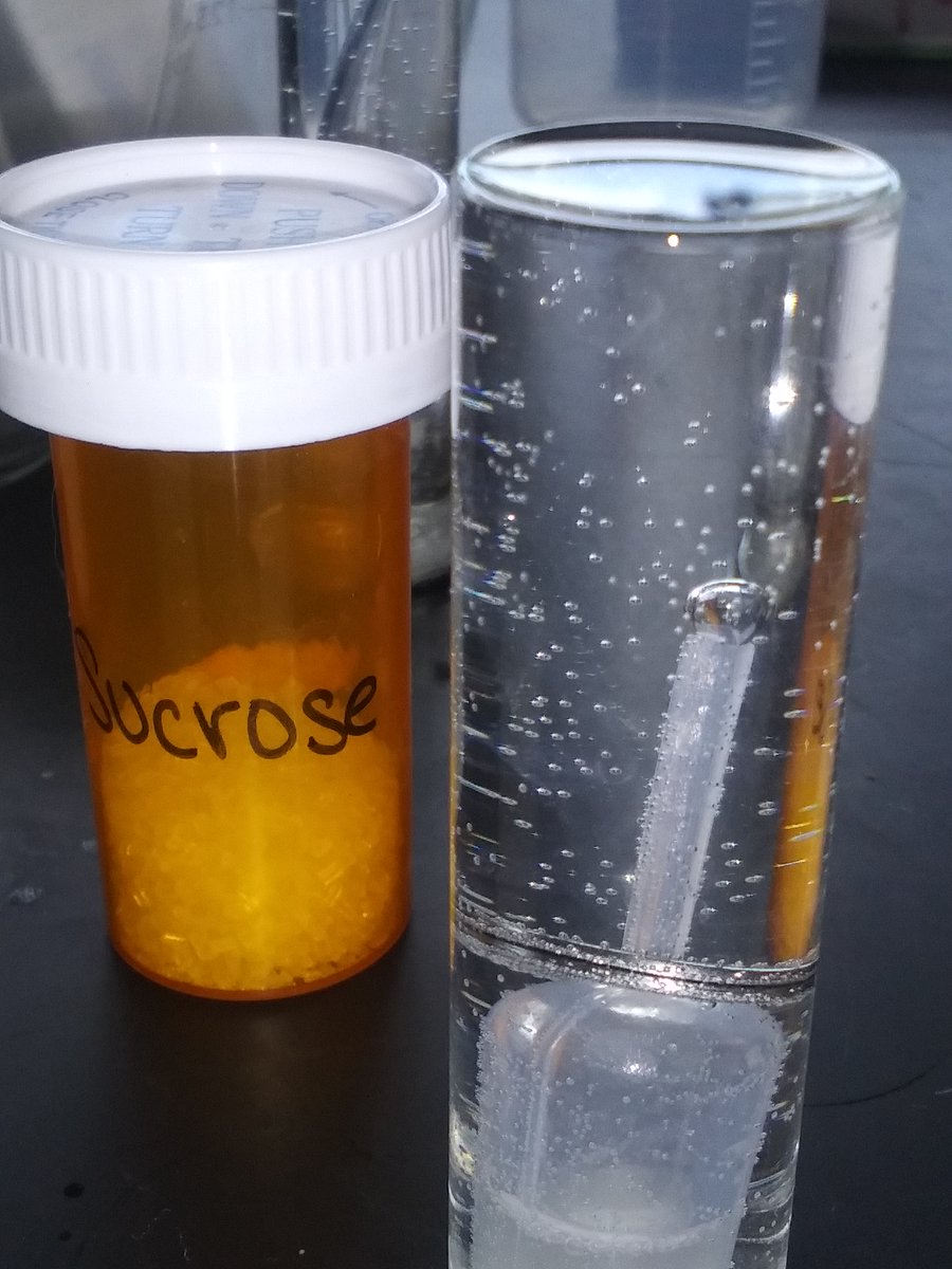 JKWLifeScience's tweet photo. Intro to College Bio students analyzed  the differences between the biochemical reactions of anaerobic &amp; aerobic respiration along with photosynthesis.  Students were fascinated by  the reactions on a macro versus microscopic level. https://t.co/Xw66r2lz30