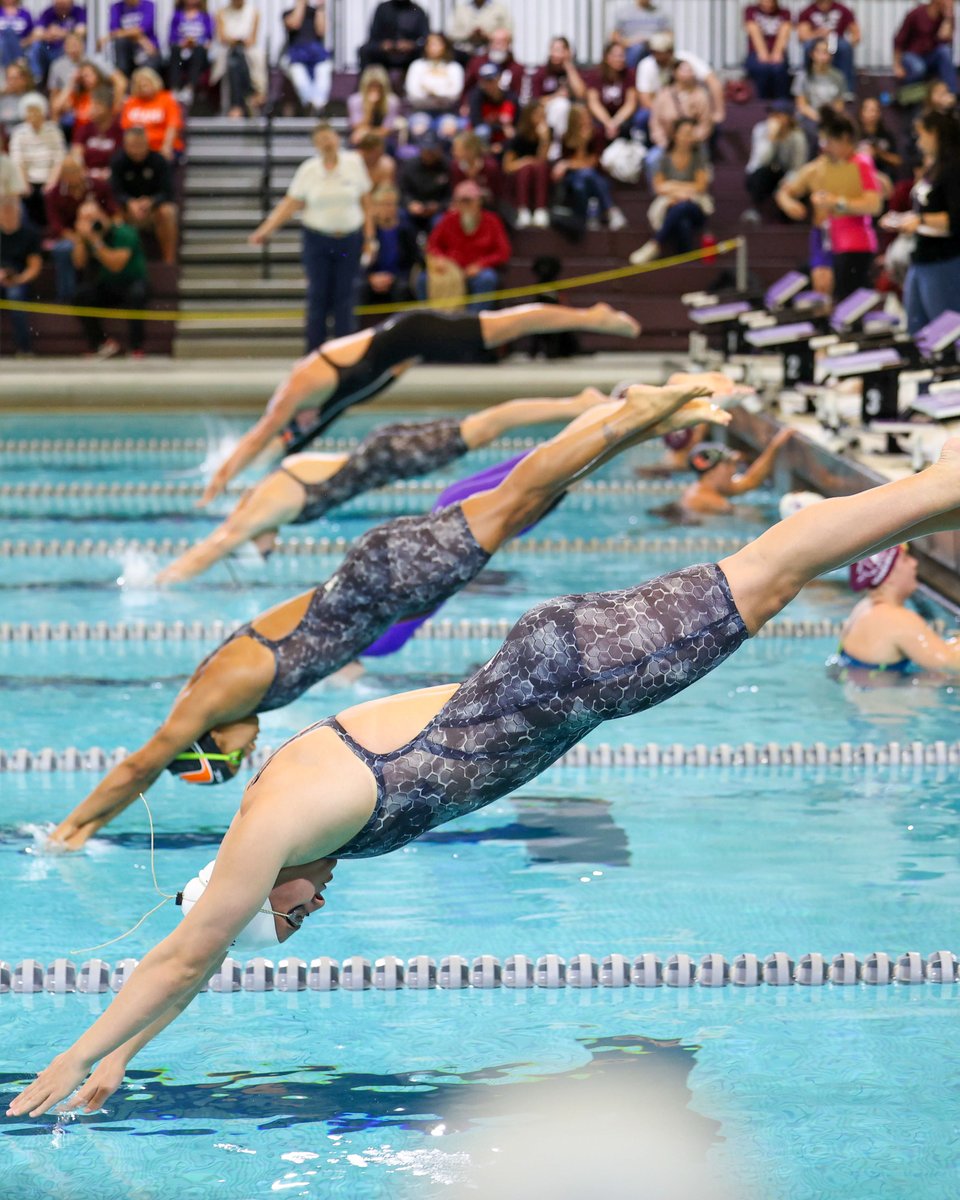 NUSwimDive's tweet photo. All smiles from Evanston! 😸👍 https://t.co/CV40Z1Jx44