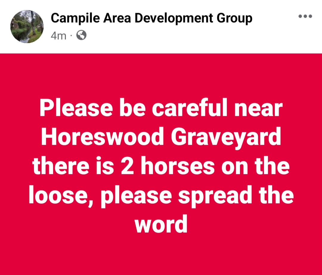 CampileAreaDevelopmentGroup tweet media