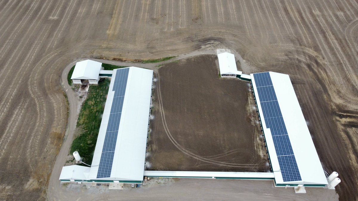 VanAertBryce's tweet photo. Net-zero, free run brown eggs coming to stores near you. @BurnbraeFarms #Eggsmorethenever #NetZero #Sustainability #FieldstoForks https://t.co/ZFwmKPTbki