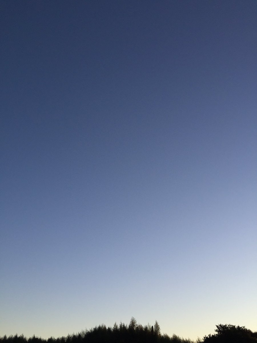 wo_wo_wo_wo__'s tweet photo. 行楽日和の日曜朝、おはようございます☀️
先週の疲れをとるべく、ダラダラしております☕𓈒𓏸︎︎︎︎
お出かけの皆さま、お仕事の皆さま、今日も安全運転、笑顔の一日よろしくで〜す😁
#イマソラ #バイク #ツーリング #コスモス #風車 #ミックスフライ #猿田神社 #御朱印 #F700 #笑顔 https://t.co/m0LRhkCxhL