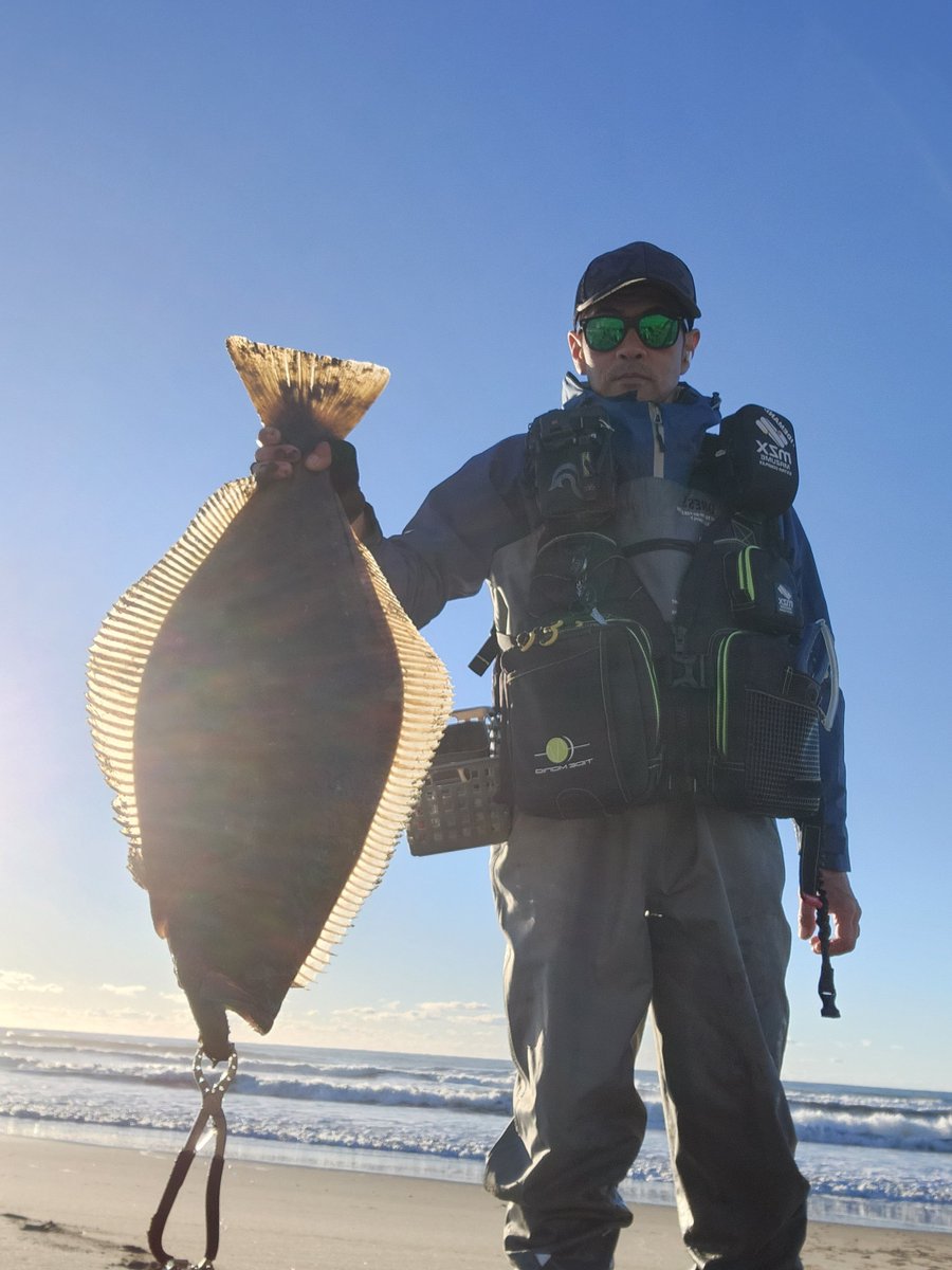 ノムノム【黒黒鮃団】 tweet media