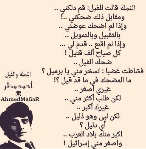 openmaind3's tweet image. 