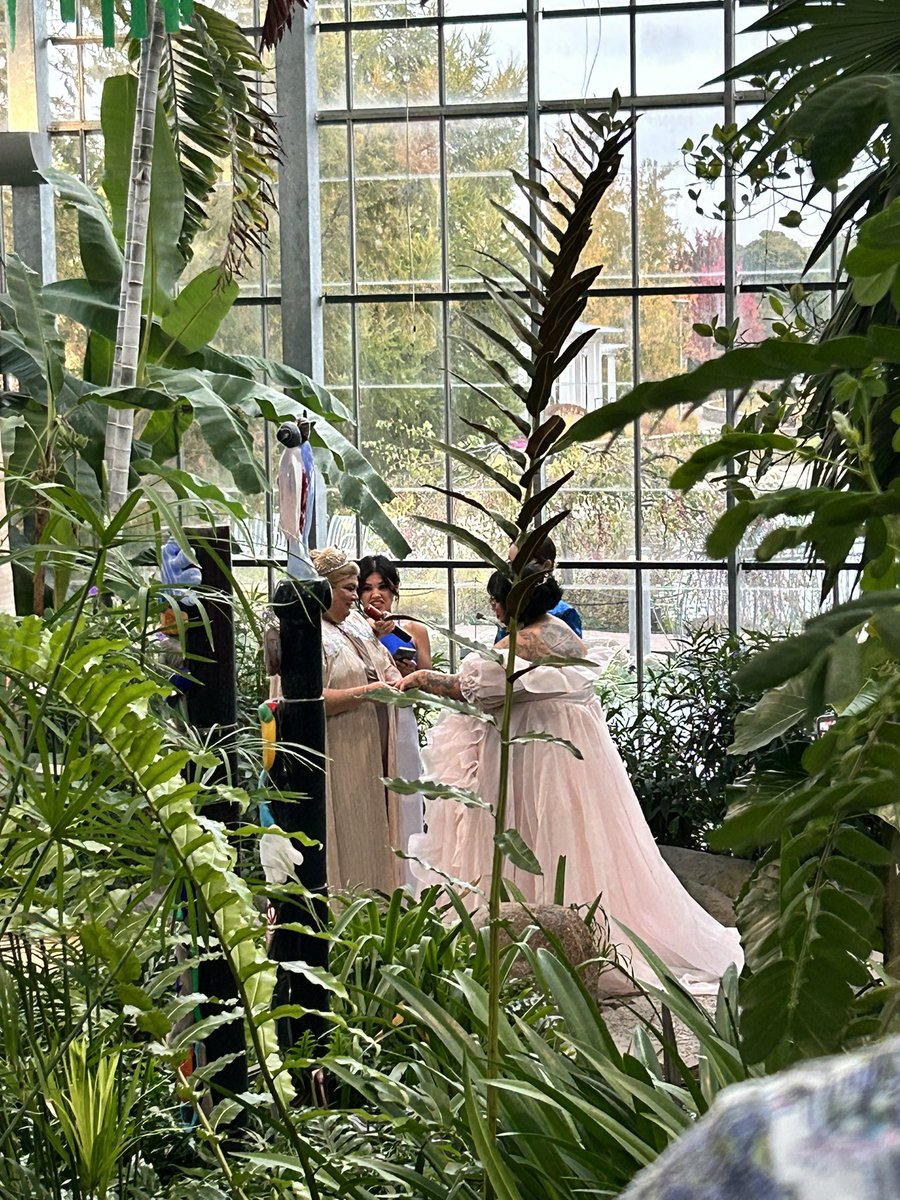 rogue leader is MARRIED