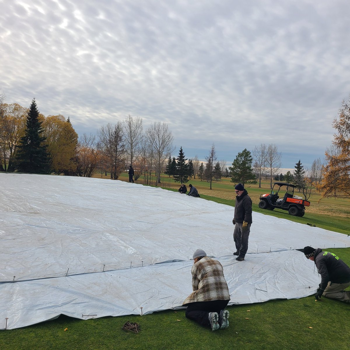 Olds Golf Club TurfCare tweet media