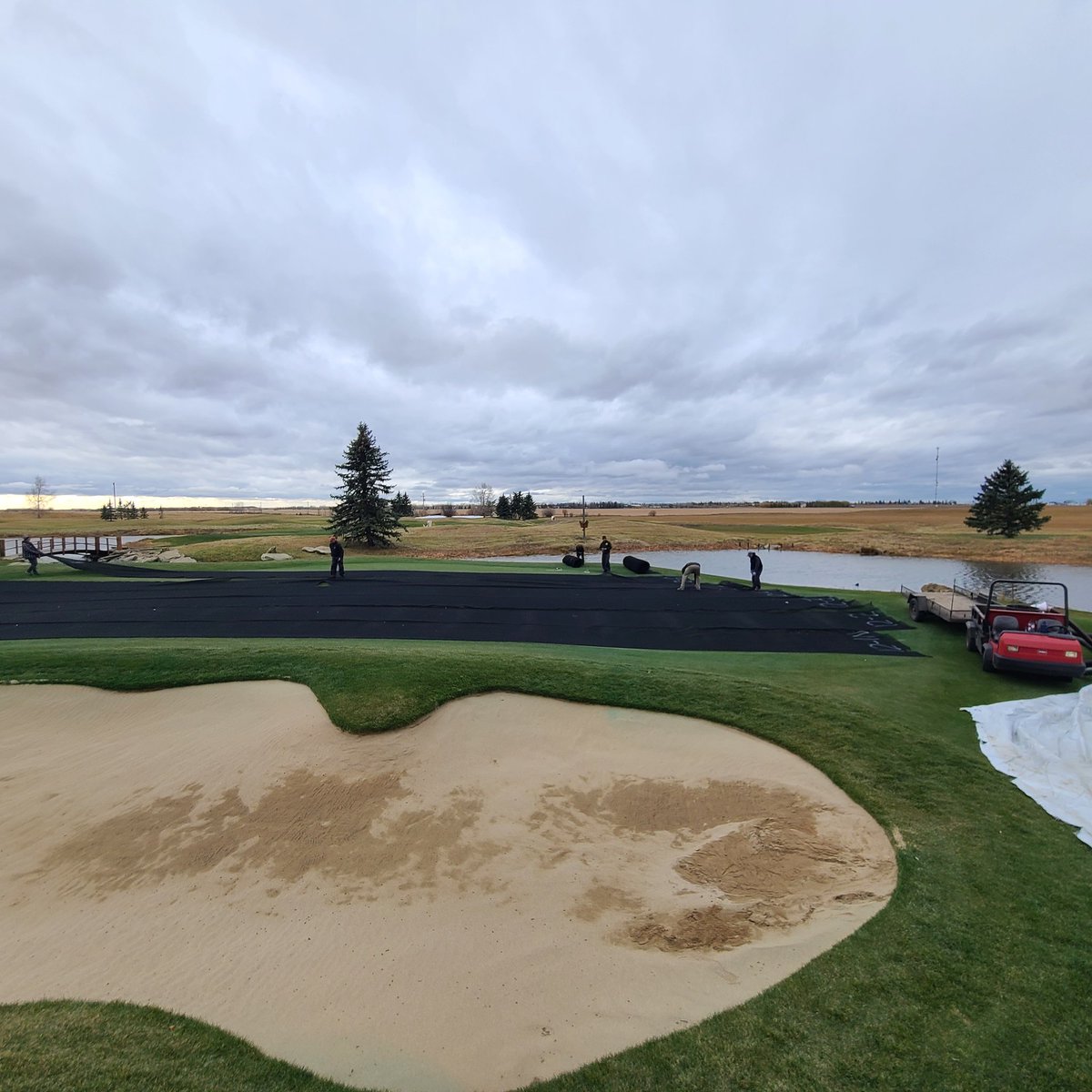 Olds Golf Club TurfCare tweet media