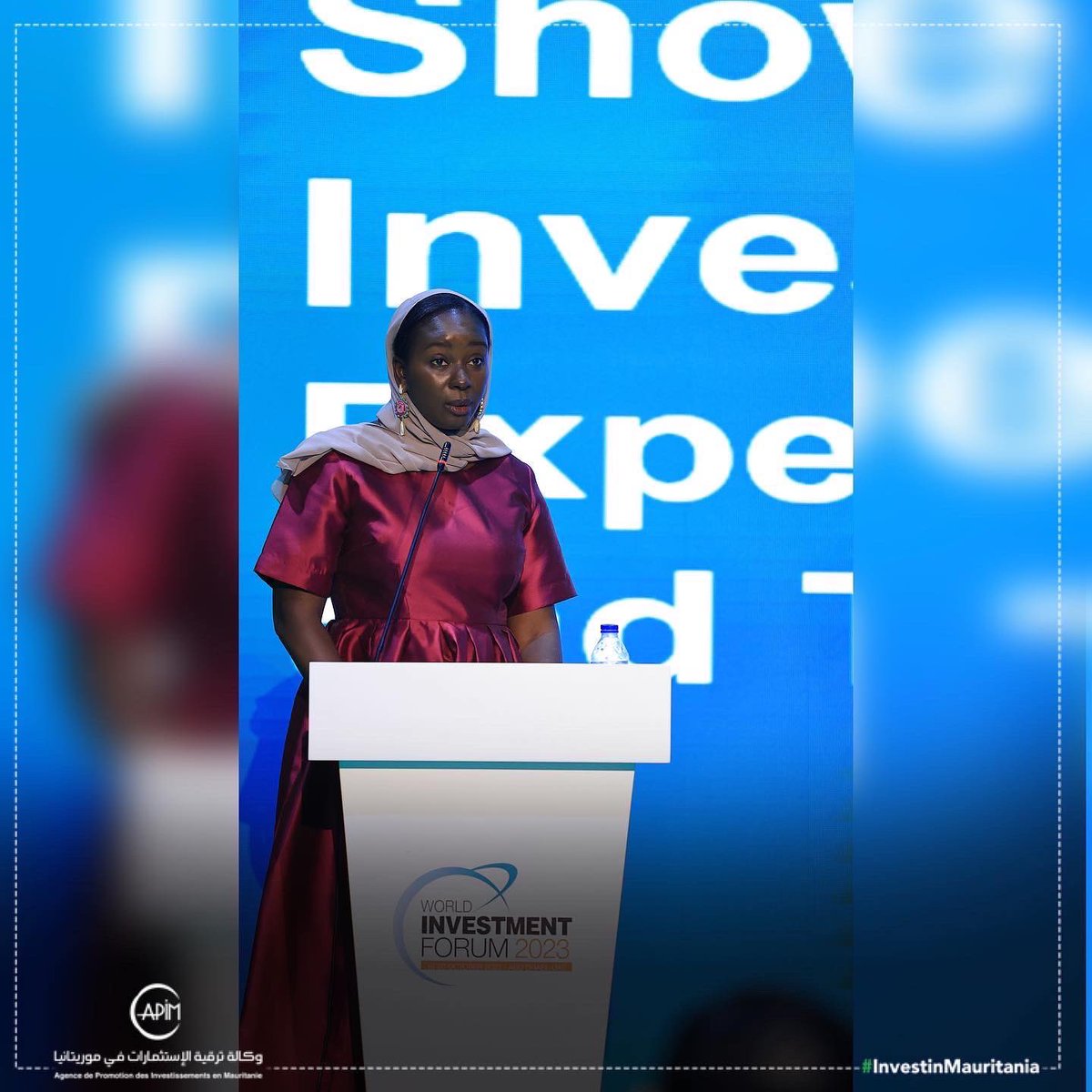 APIM - وكالة ترقية الاستثمارات في موريتانيا tweet media