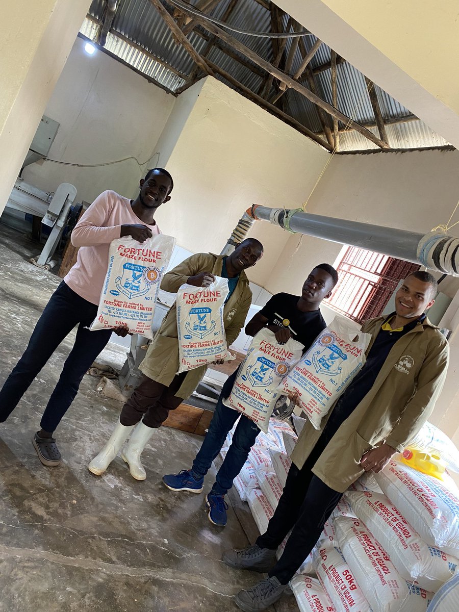 BitcoinKampala's tweet photo. "🎉 Fortune Farms LTD now accepts #Bitcoin for Maize Flour, Chickens, Eggs, and all future products! 🚜🐔🥚

Born from a partnership between @Alex_Fortune1 (UK) and Tadeo (Ugandan Farmer), we explored their efficient operations and how #Bitcoin will revolutionize their cross-border transactions. 💰

We bid goodbye to slow & expensive money transfers! 💸

Tadeo is excited about the potential of #Bitcoin as sound money, protecting value in times of inflation. 📈🌽🇺🇬🇬🇧 

"Exciting times ahead! 🌟 
We're considering supplying @orphansofuganda with top-quality products, paying in #Bitcoin for amazing savings compared to the current purchase price (KG is cheaper by 500ugx)

 Learning with Tadeo will continue to ensure he gets to self-custody. 

Building future community leaders.
Check Back in one year! 🚀🌾🇺🇬