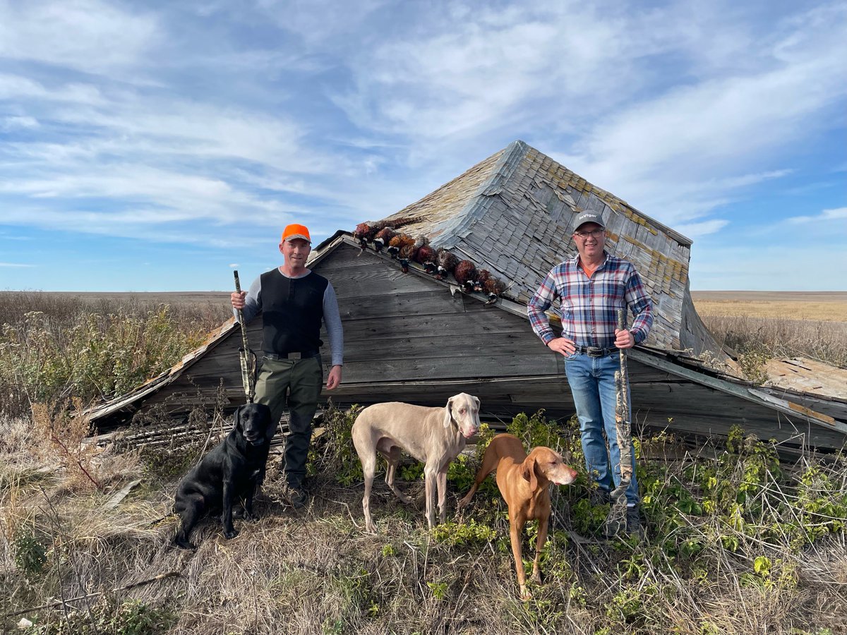 Another great day with some great dogs!