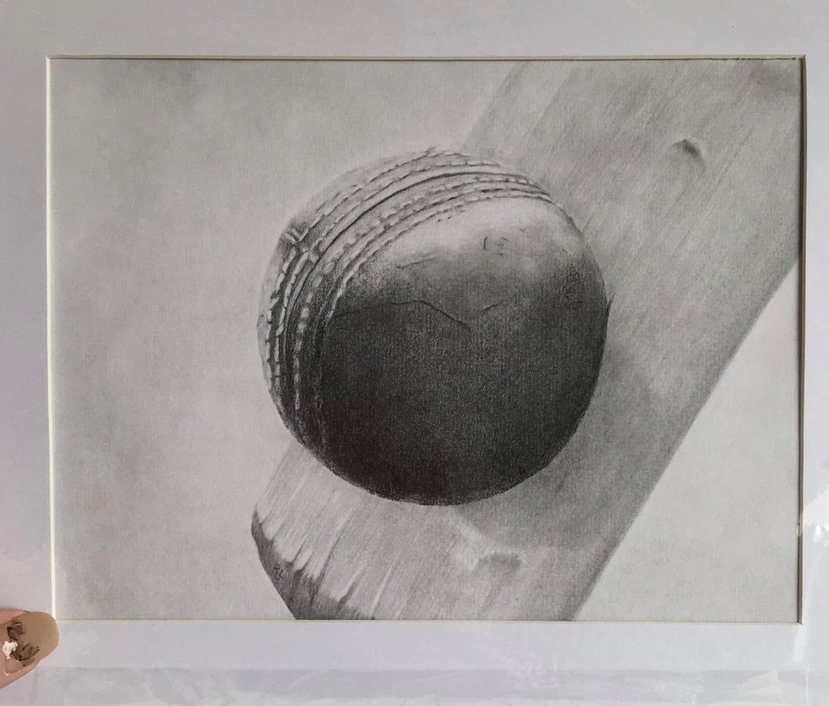 blueriverRachel's tweet photo. Graphite drawing.  #cricket 😊 https://t.co/gQtY0Pf00L