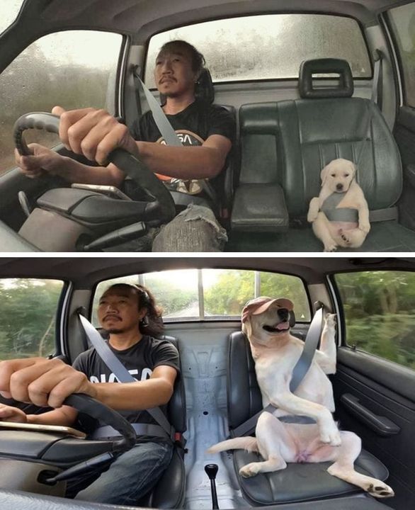 amigos para sempre ❤️