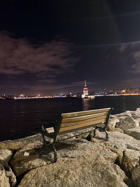 golgi aygırı (@msysmsysm) on Twitter photo 