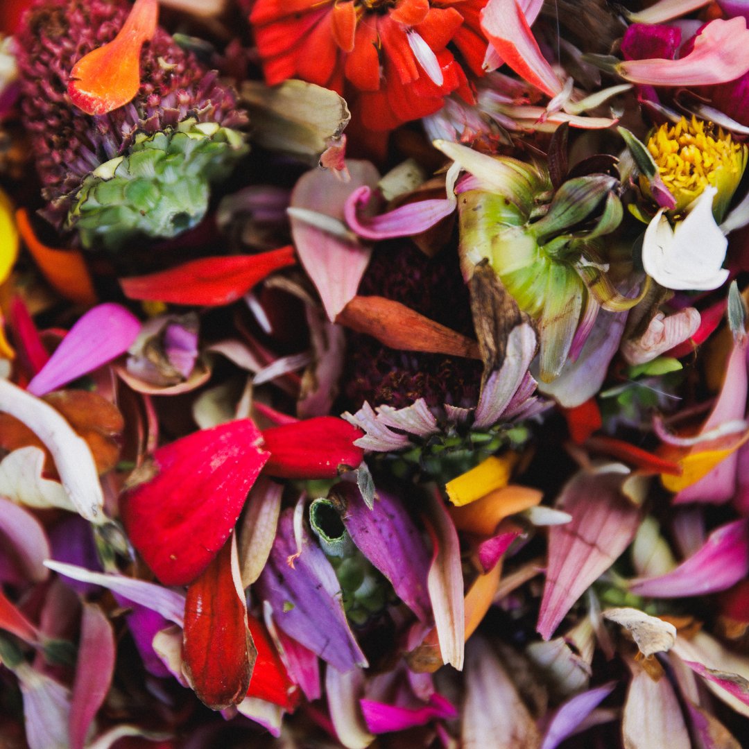 Namchak Community tweet media