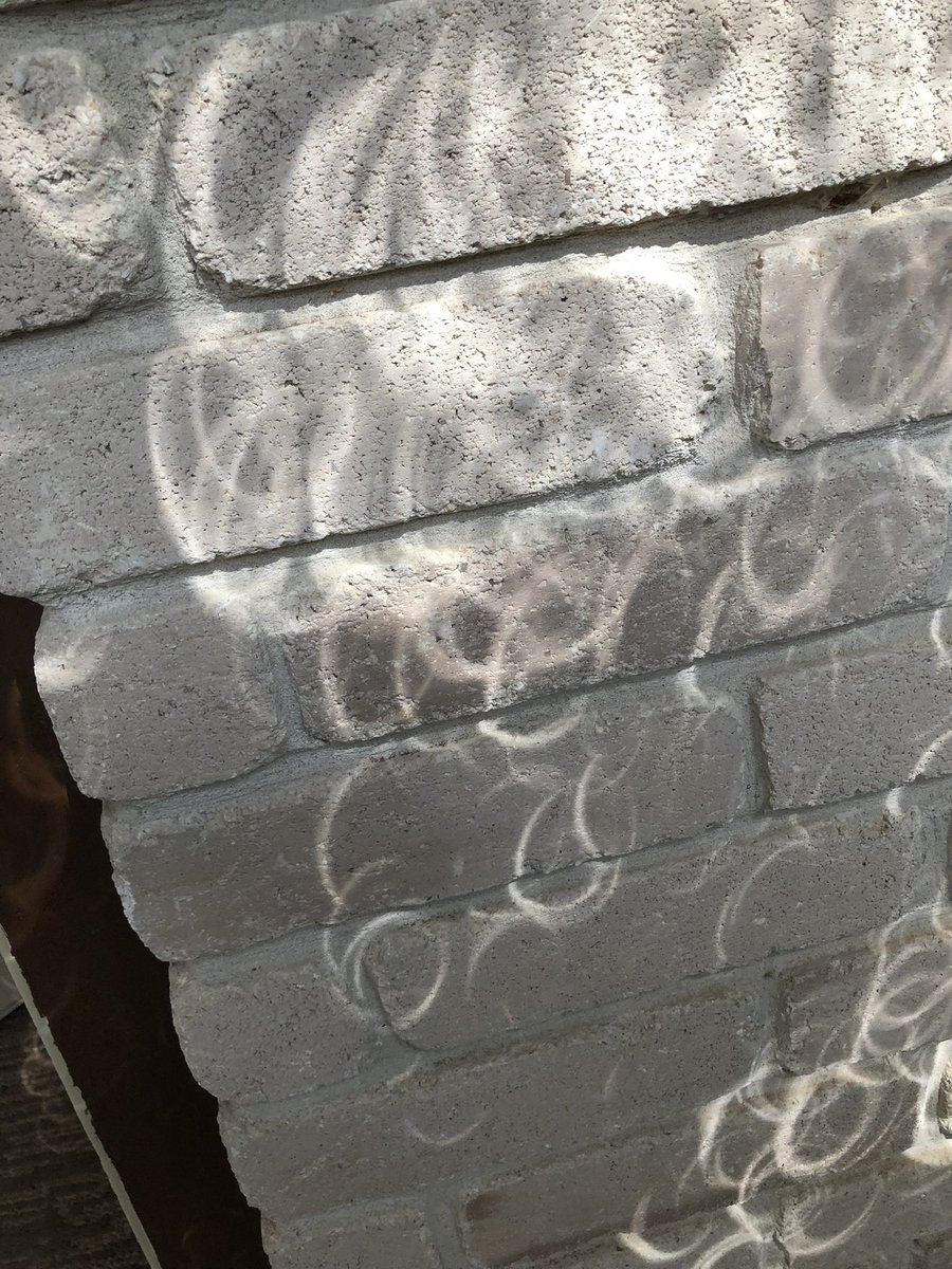 Cool pics from my mom in San Antonio, one of the best spots to view the eclipse. If you don't have a pinhole camera or eclipse glasses, leaf shadows make great eclipse viewers.