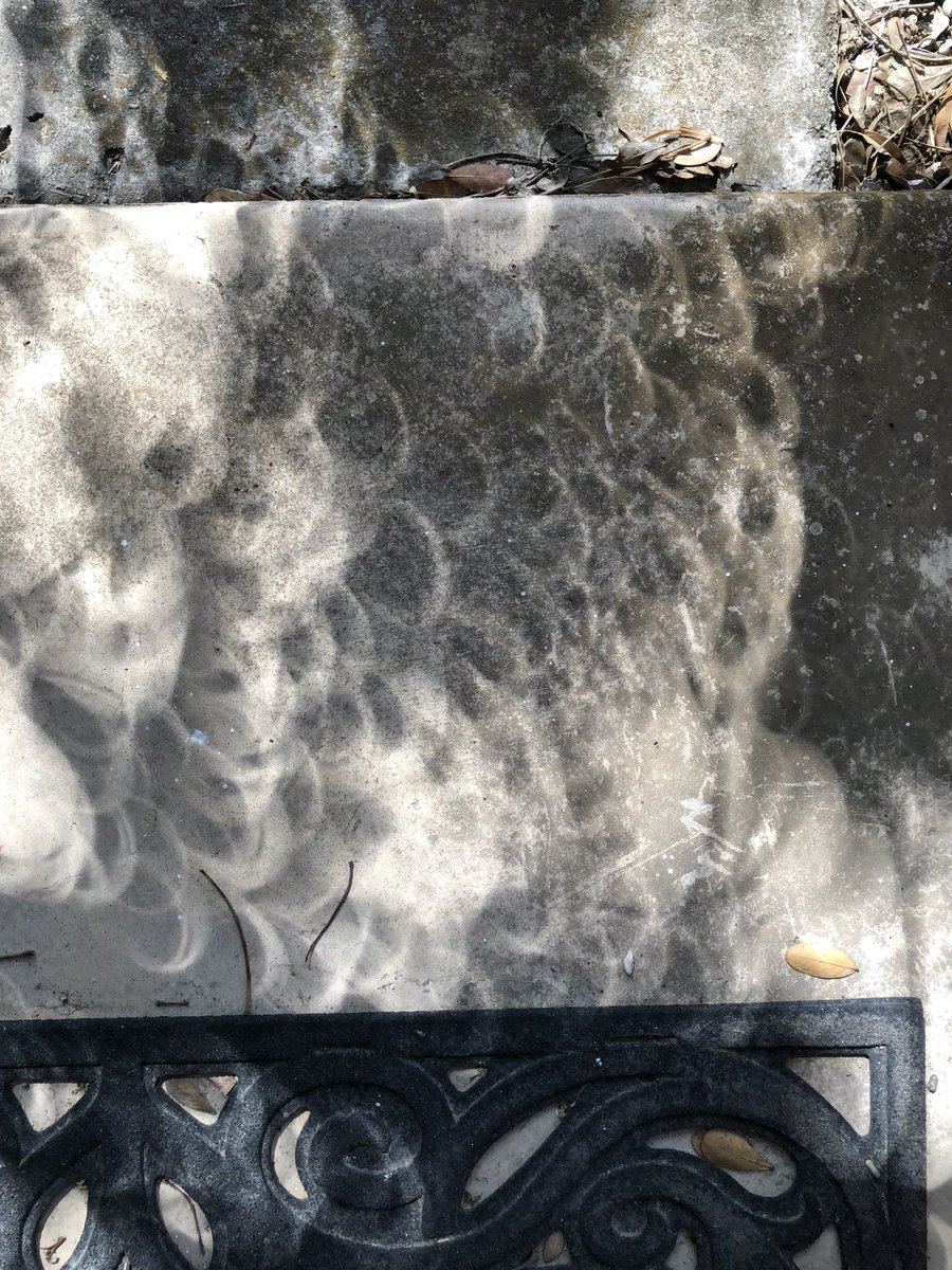 Cool pics from my mom in San Antonio, one of the best spots to view the eclipse. If you don't have a pinhole camera or eclipse glasses, leaf shadows make great eclipse viewers.