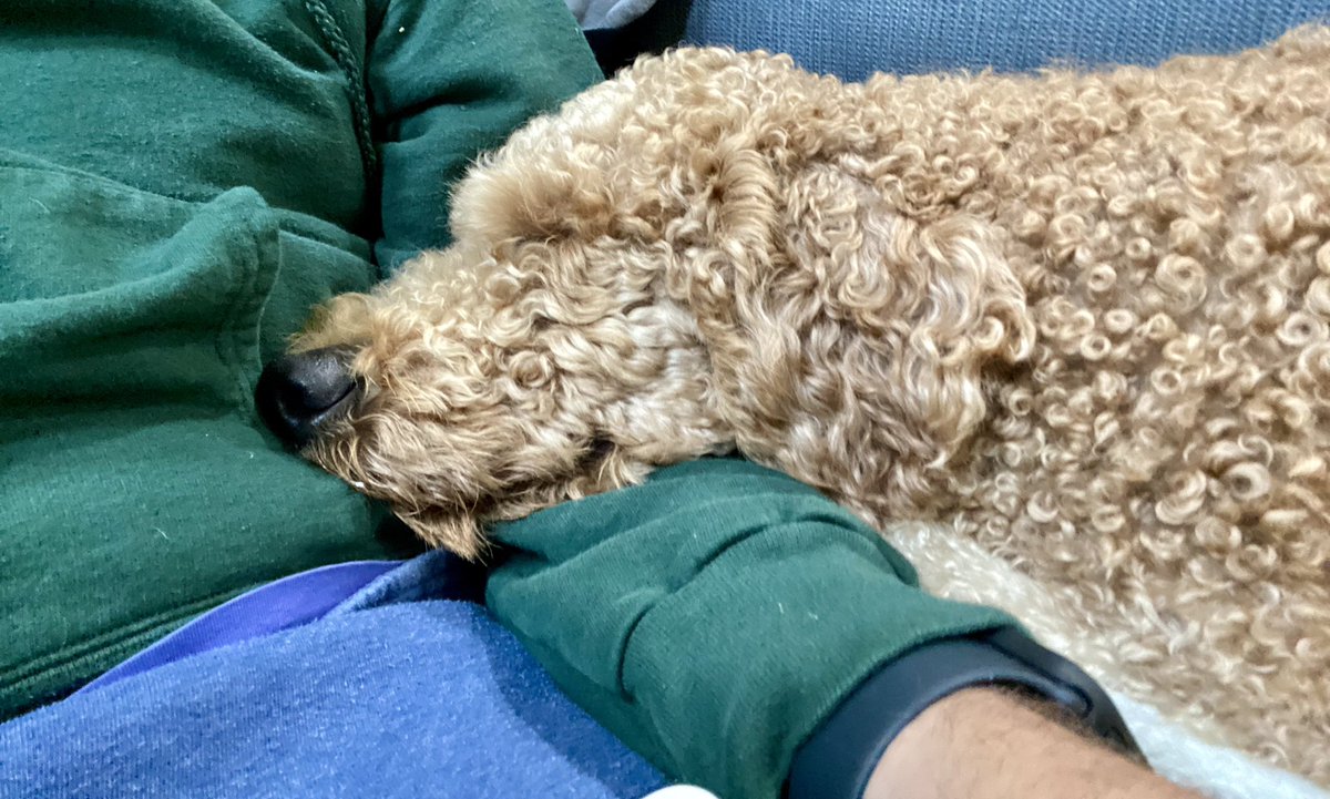 kpackler's tweet photo. @tegmark If we imbued AI with the thinking of man’s best friend, then we’d be OK. https://t.co/hJbYiCx7ZQ