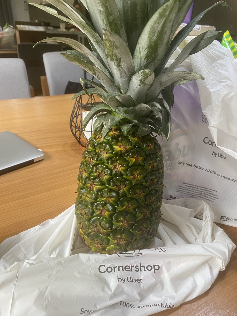 abgarzas's tweet photo. Oye @CornershopMX  y esta piña la vuelvo a plantar o que pedo??  Crees que para navidad ya este buena?
#nilesaben https://t.co/ZVutYC4H9l
