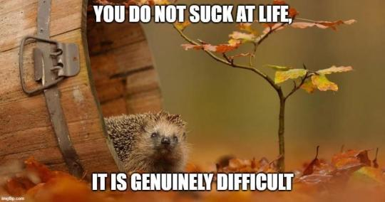 feelgoodnws's tweet photo. https://t.co/IlNPC5U1KF