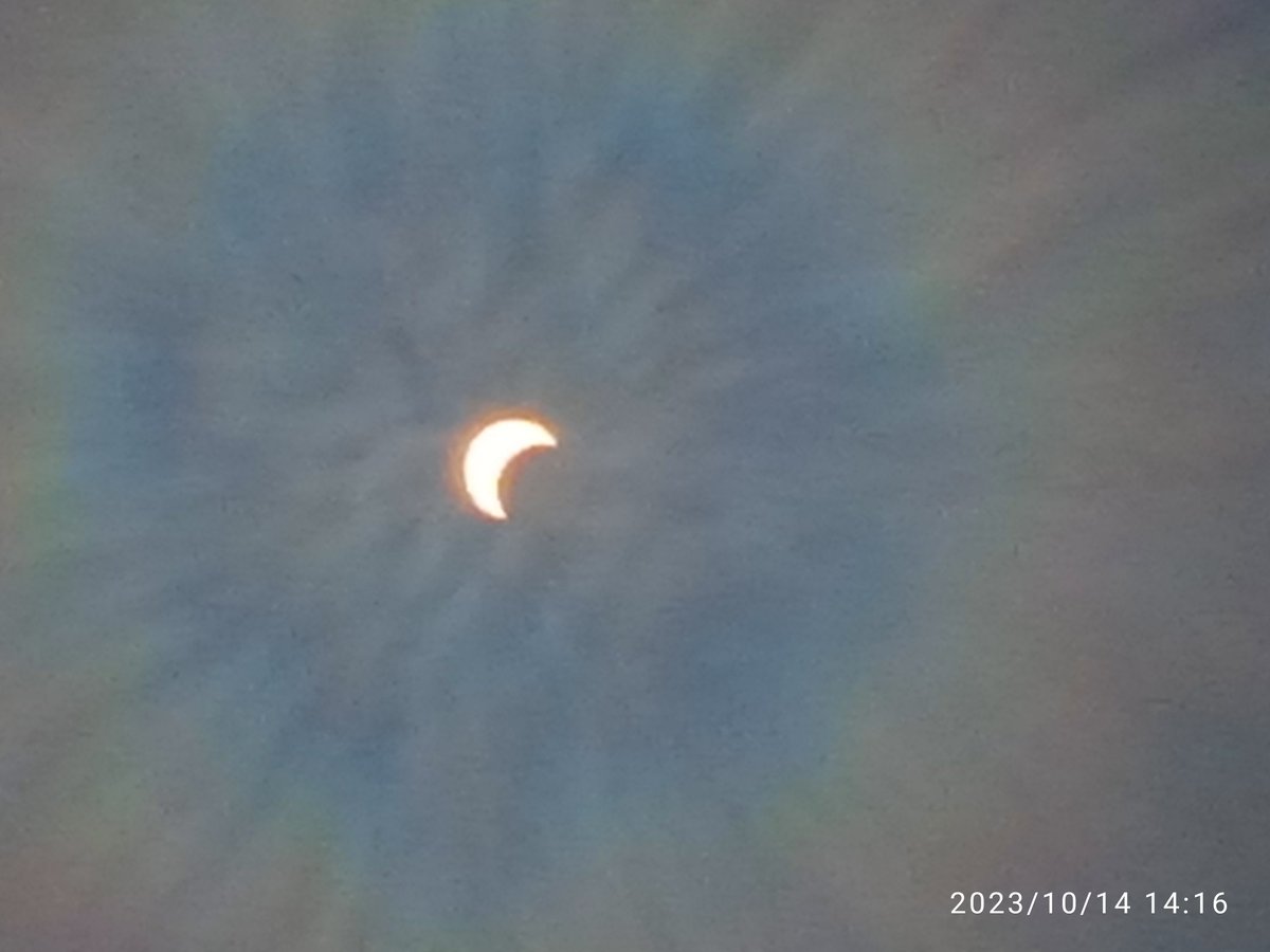 MiEstrella84's tweet image. Desde mi ventana en este momento el sol tipo 🌘
#Eclpse