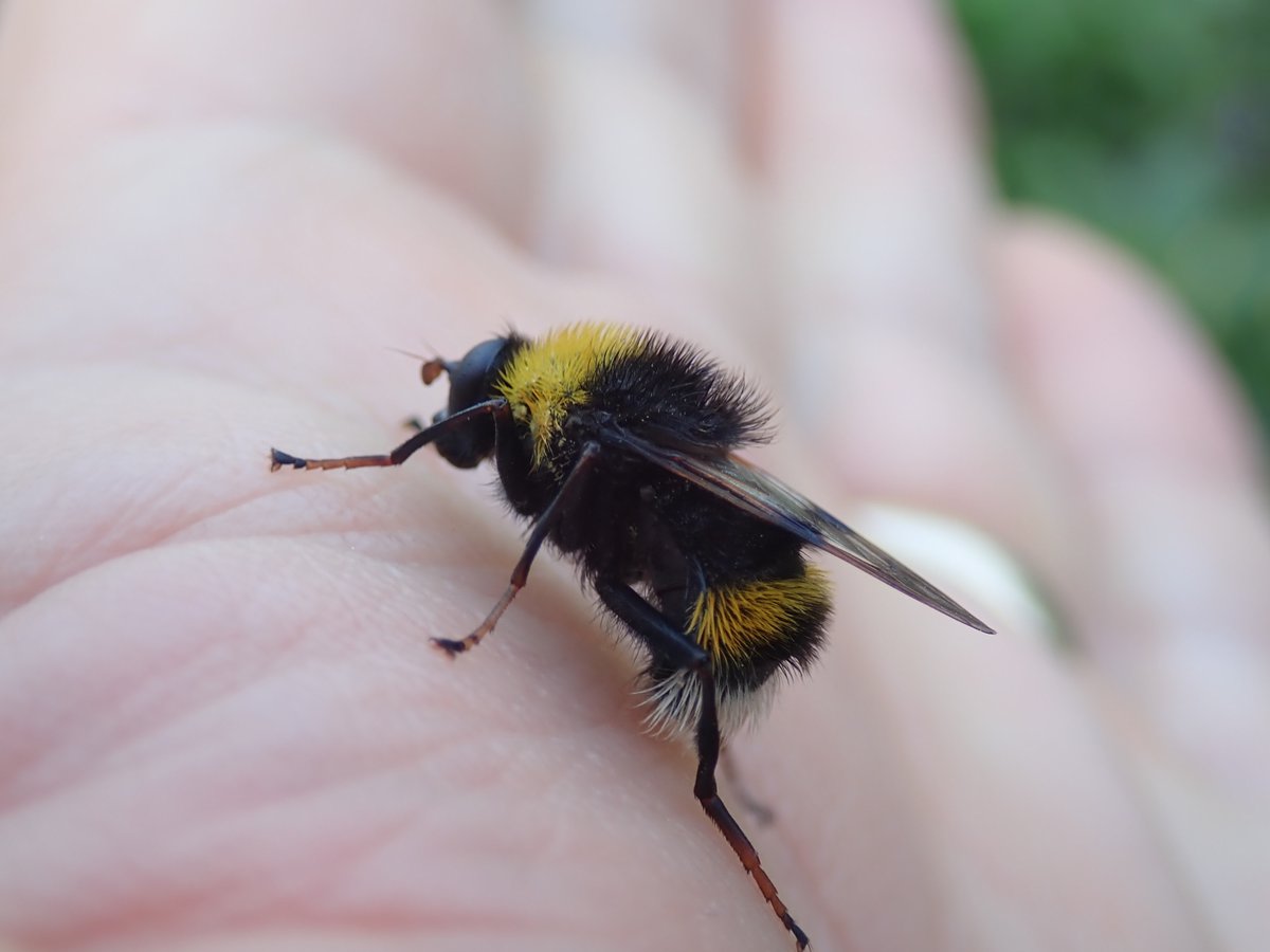 Andy Musgrove tweet media