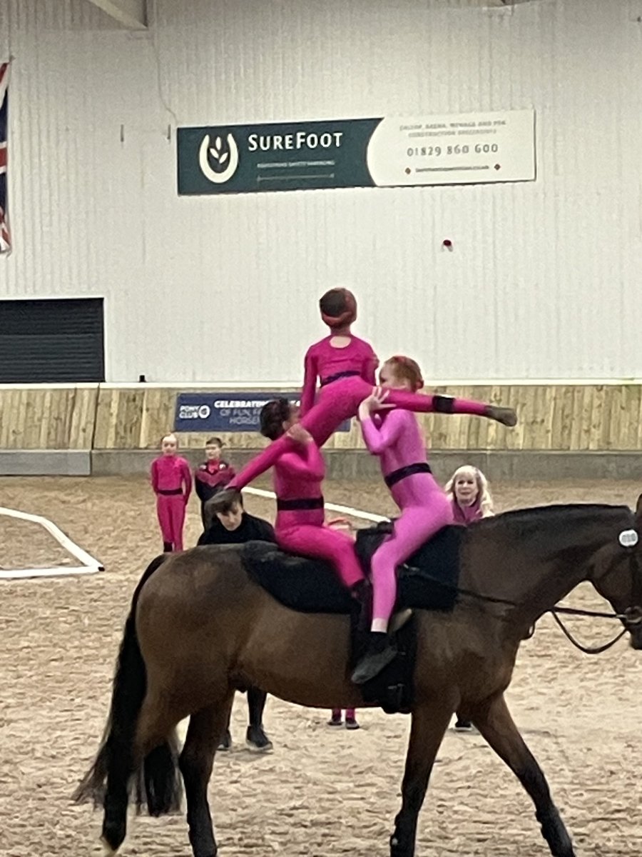 Pretty cool stuff this afternoon with the teams vaulting competition ⁦@KelsallHillEque⁩