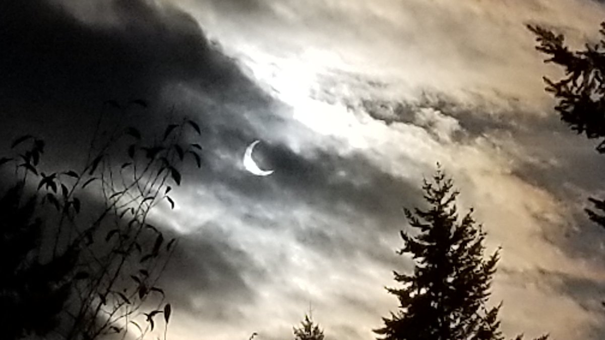flyhighmedia's tweet photo. @dgsudharsan @NWSSeattle @KSeattleWeather @KING5Seattle I got a similar shot from Kirkland. https://t.co/lYdNZ408Wb
