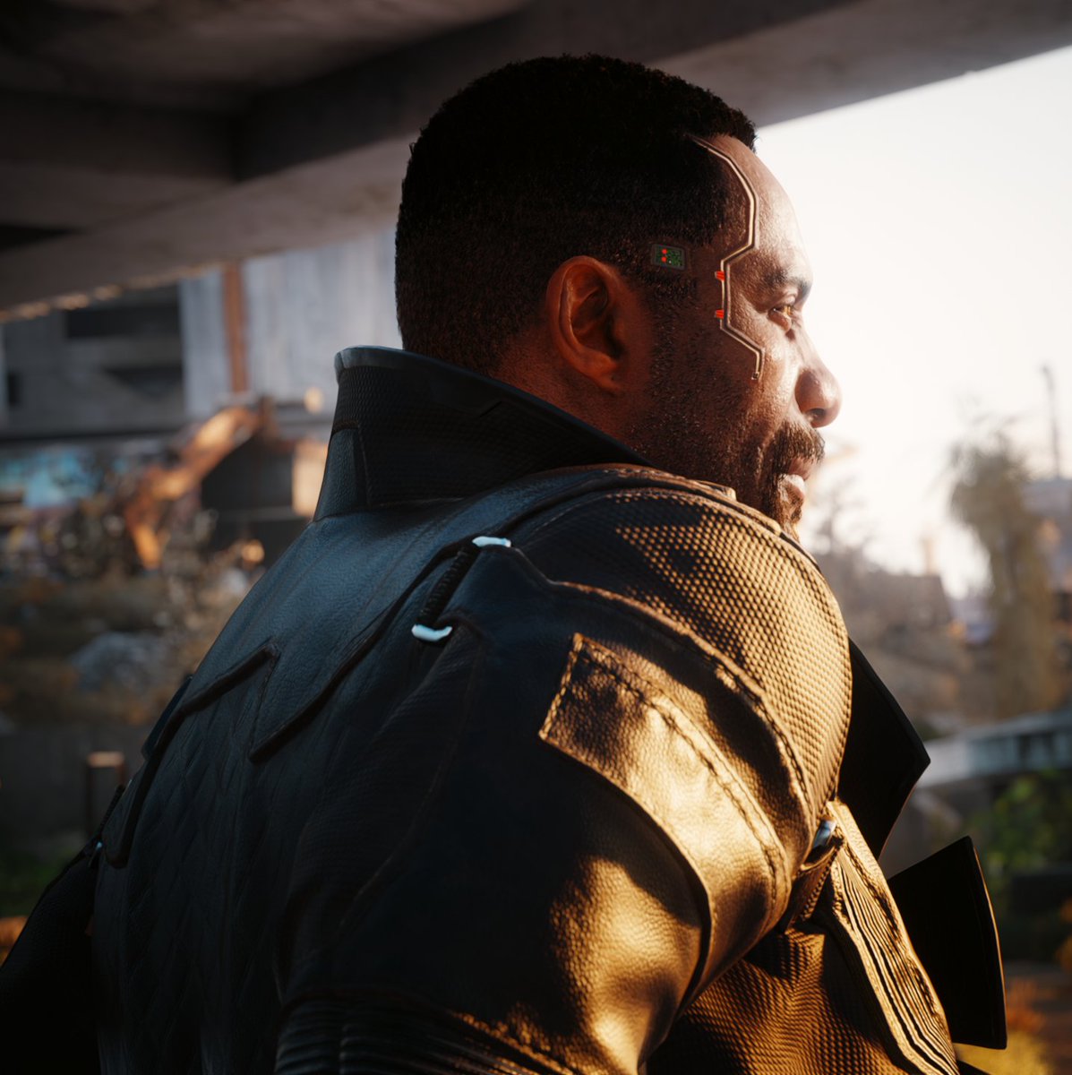 CYBERPUNK 2077      

#Cyberpunk2077 #Cyberpunk2077PhantomLiberty #VPRT #VirtualPhotography