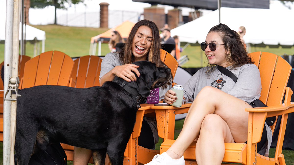 Mercer Bears tweet media