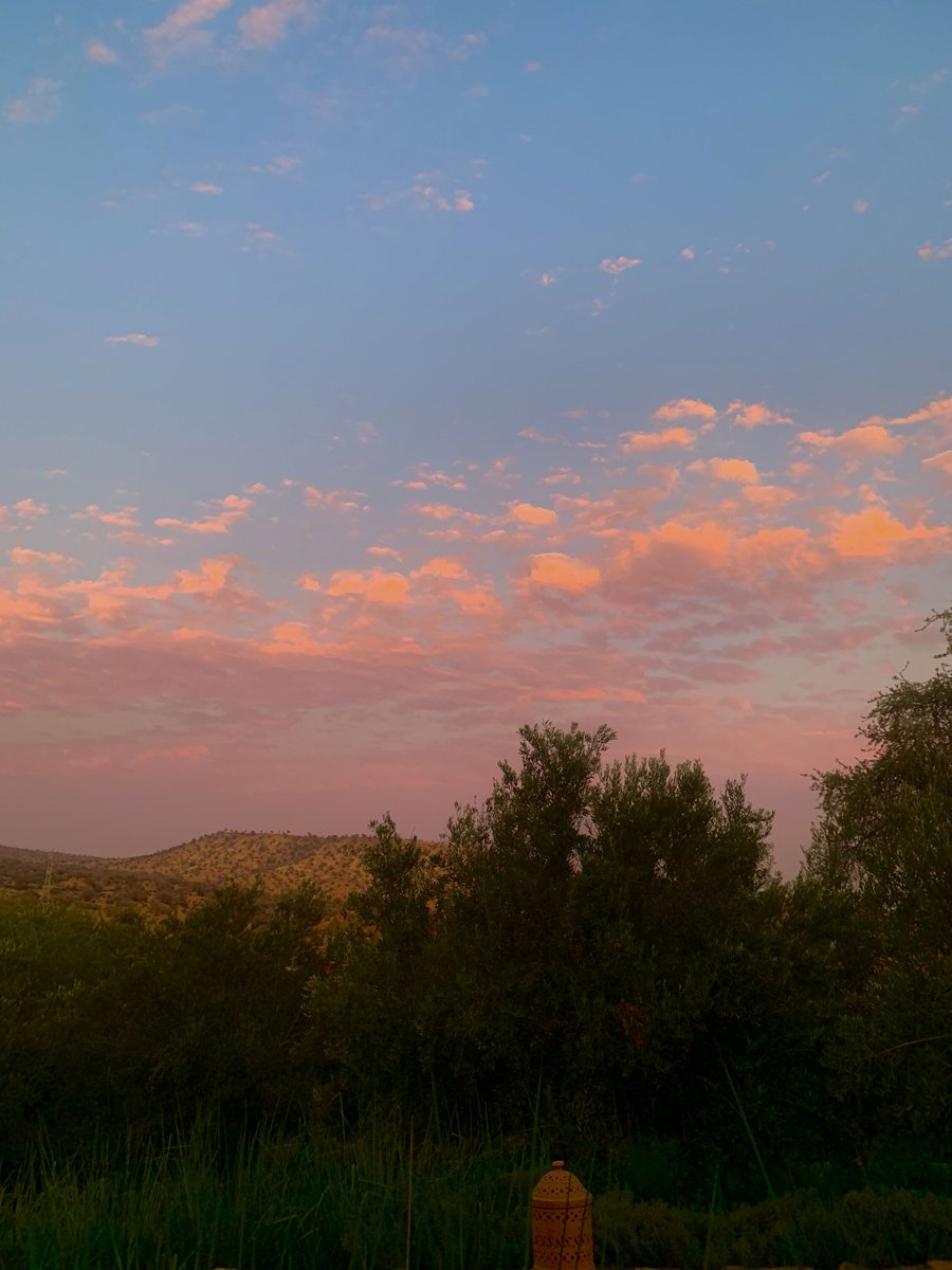 ecolodgemorocco's tweet photo. Look up at Morocco's sunset skyline, where the horizon is painted with hues of serenity, and peace whispers in every breeze.
Admirez l'horizon qui se pare de mille teintes dorΓ©es au coucher du soleil pour apaiser les coeurs.
#MoroccanSunset #PeacefulSkies #iconic #warmcolors https://t.co/GwcHYiTfpB