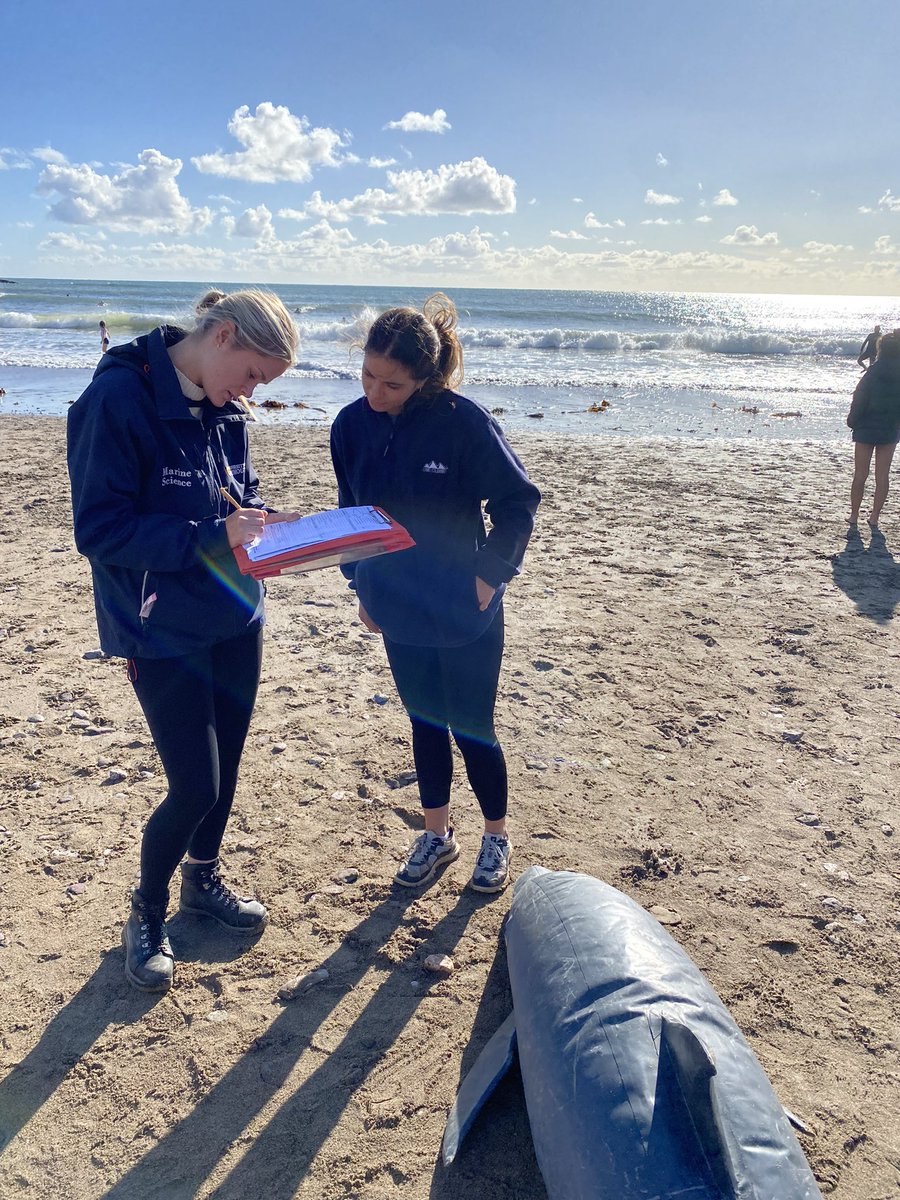 StormMcclements's tweet photo. A beautiful Saturday spent at Wembury training with @DevonWildlife to become a South Devon representative of the Marine Stranding Network. Big thank you to @WemburyMarine for delivering such an interesting and informative course highlighting the importance of strandings data! 🦭 https://t.co/VZVx9Qg077
