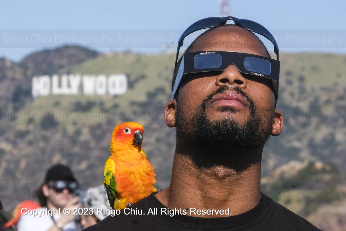 ringochiu's tweet photo. Solar enthusiasts watch the solar eclipse at the #GriffithObservatory in Los Angeles. #SolarEclipse https://t.co/wMxsJ5pGLf