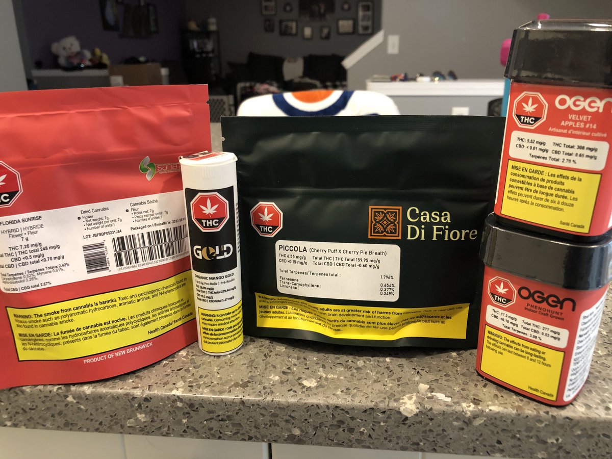 StonerDad 🇨🇦 tweet media