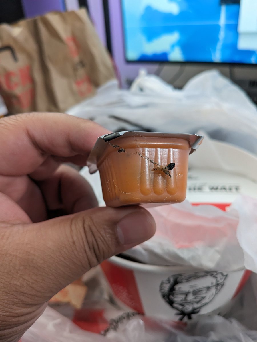 AShallowLake's tweet photo. @Uber_Support Found bug parts with my food and support told me there was nothing they could do because there was a restriction on my account for too many complaints. How are order issues my fault? I just want what I paid for. They never warn you there's a restriction either. https://t.co/pM31uMB9KB