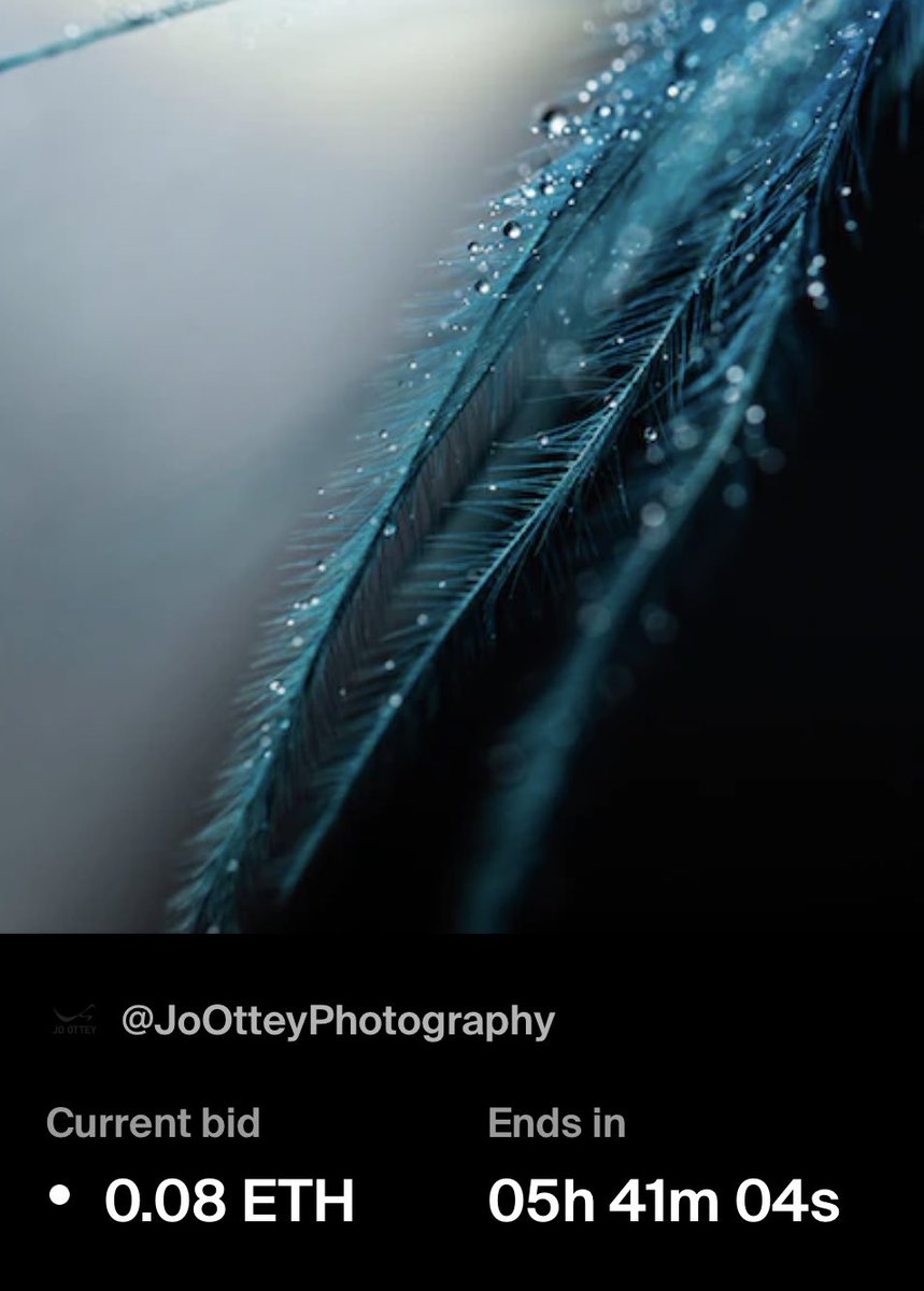 NFT AOTEAROA tweet media