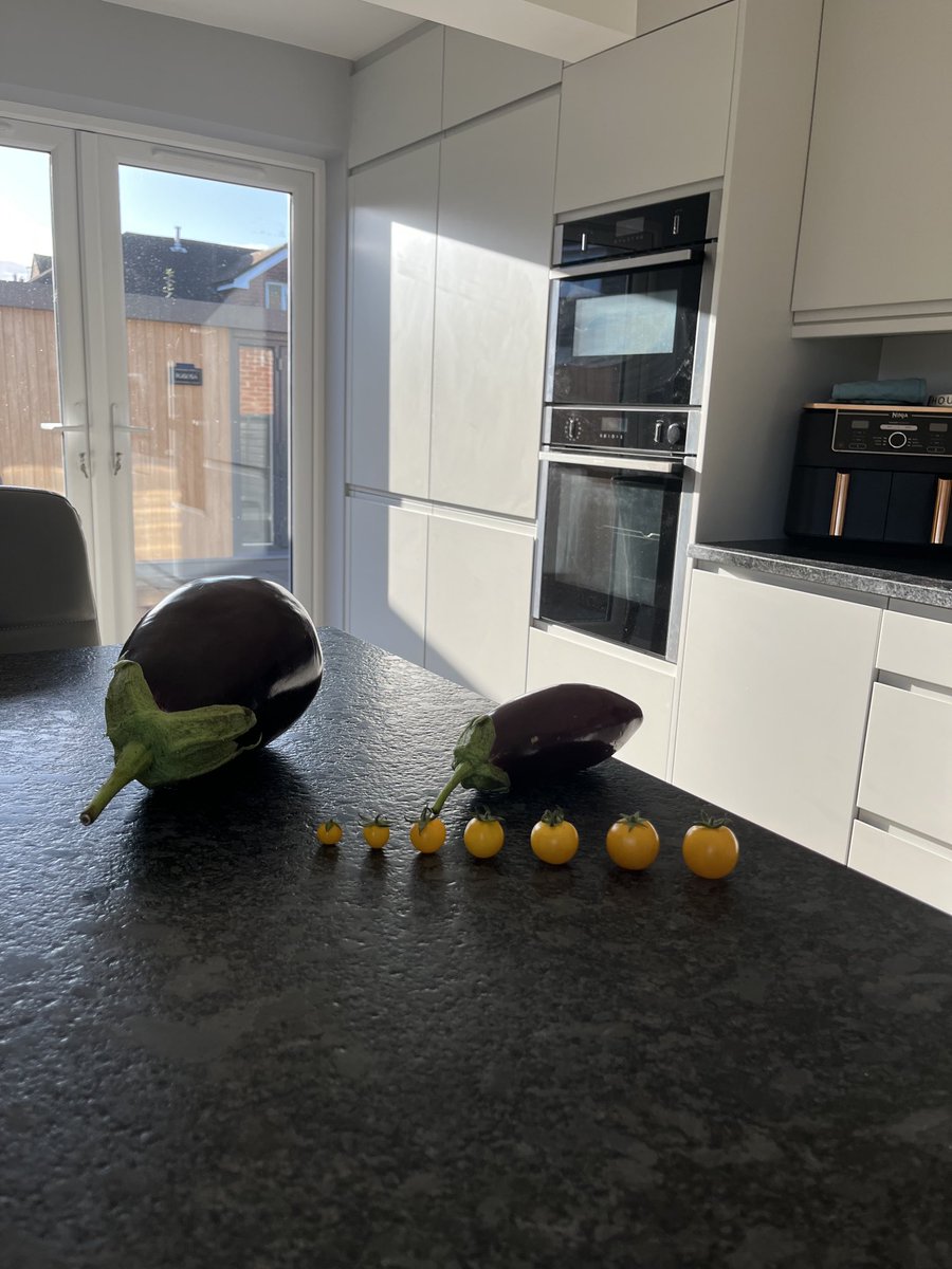 Marcello Tully tweet media